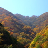 仙人峠の紅葉