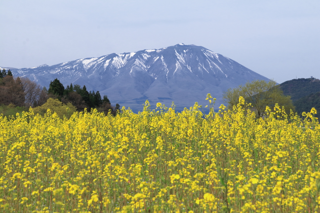 御所湖から見た岩手山