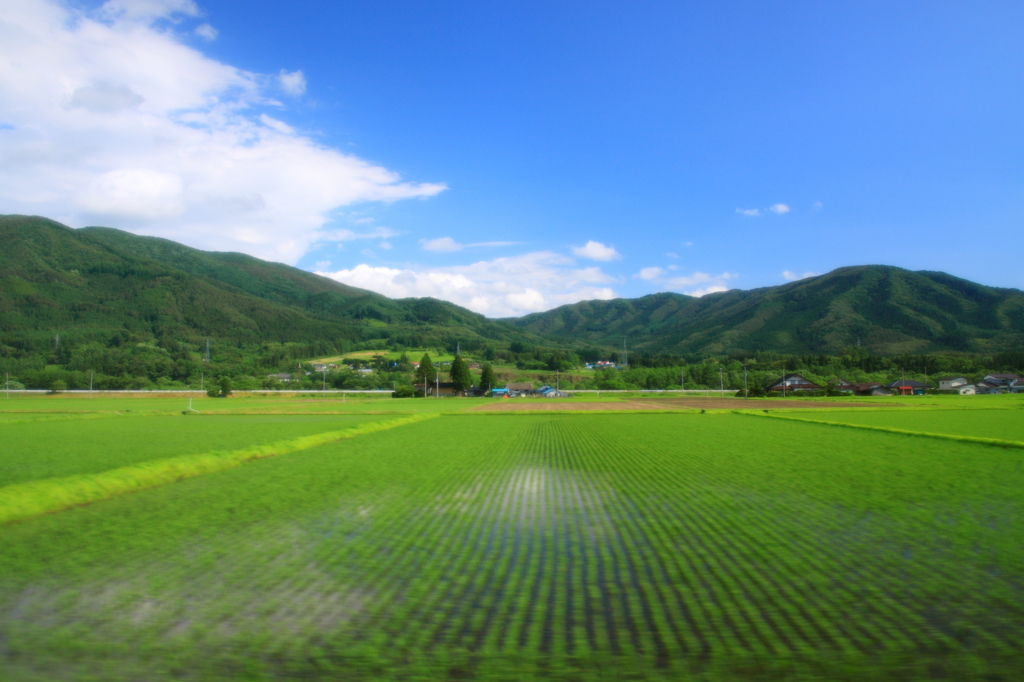 初夏の遠野