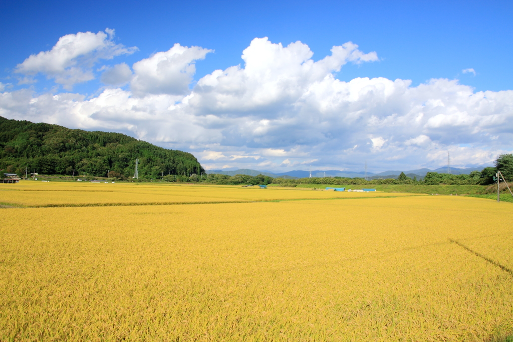 秋の遠野：豊穣の頃