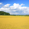 秋の遠野：豊穣の頃