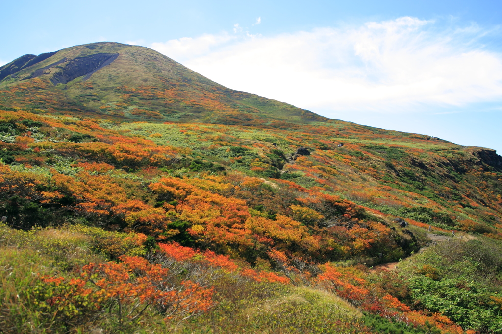 秋田駒ヶ岳