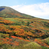 秋田駒ヶ岳