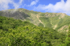 夏の早池峰