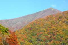 仙人峠の紅葉：片羽山雌岳