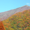 仙人峠の紅葉：片羽山雌岳