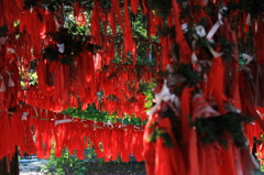 遠野・卯子酉神社