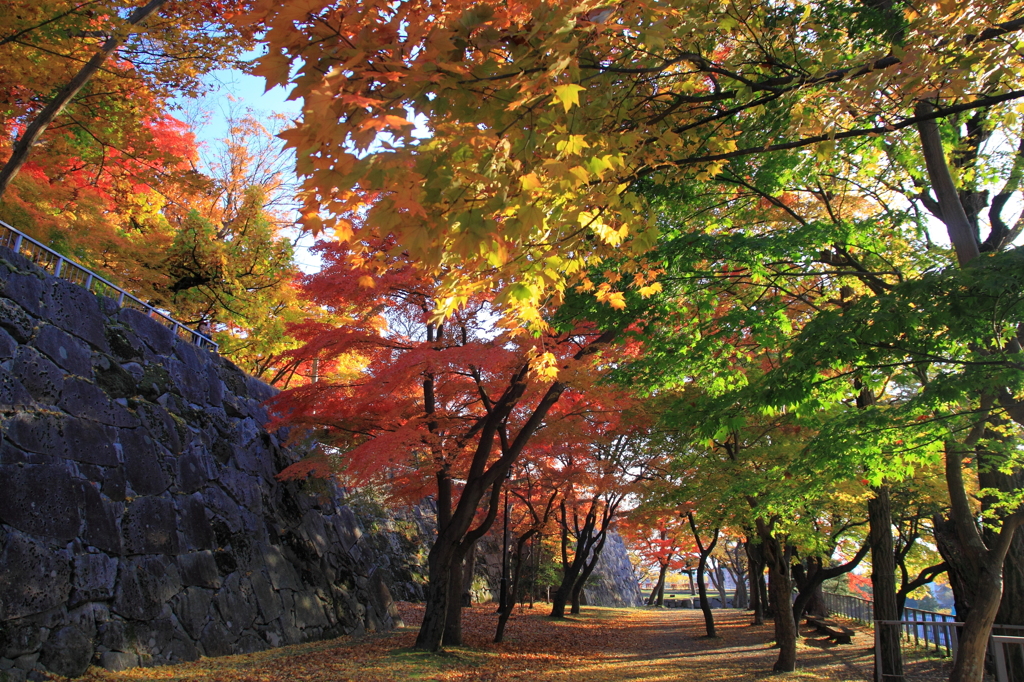 岩手公園：西日の頃