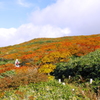 秋田駒ケ岳