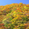 仙人峠の紅葉