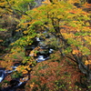 晩秋の仙人峠：中ノ沢