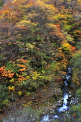 瓢沢の紅葉