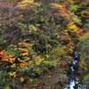 瓢沢の紅葉