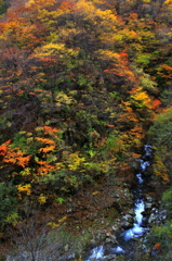 仙人峠の紅葉