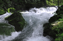 龍泉洞から流れる清水