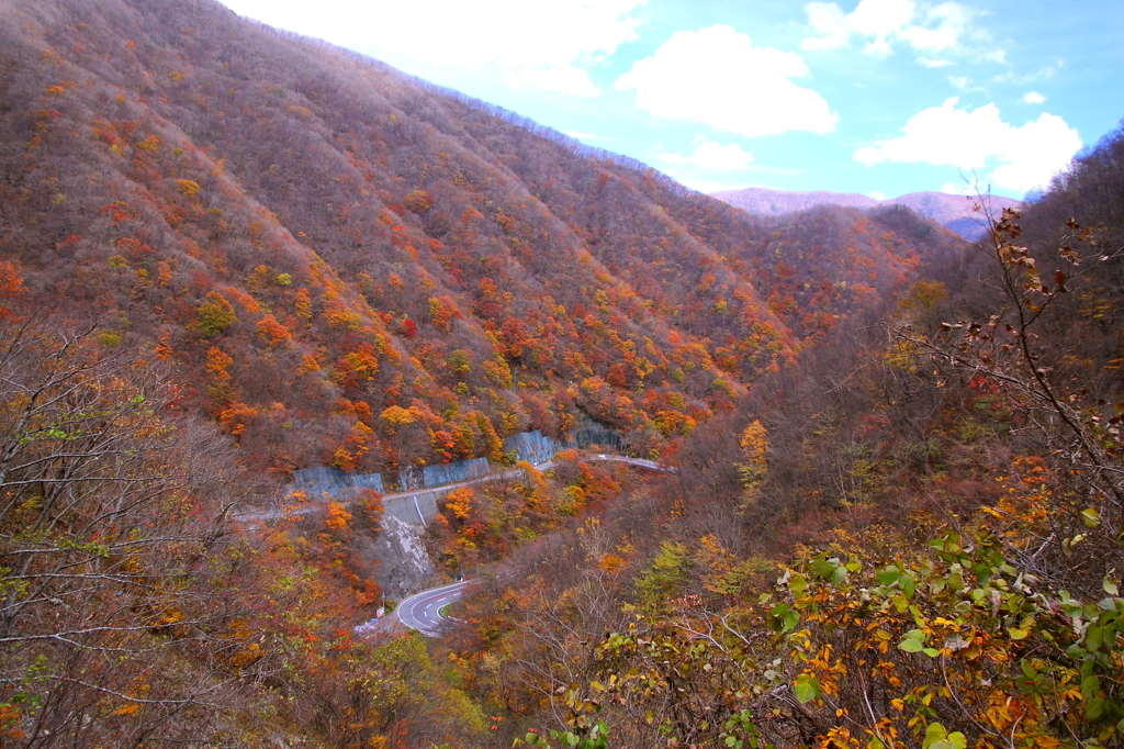 晩秋の仙人峠