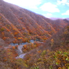 晩秋の仙人峠