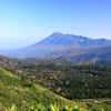 晩秋の八幡平：樹海と岩手山