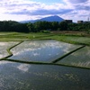 水田と岩手山