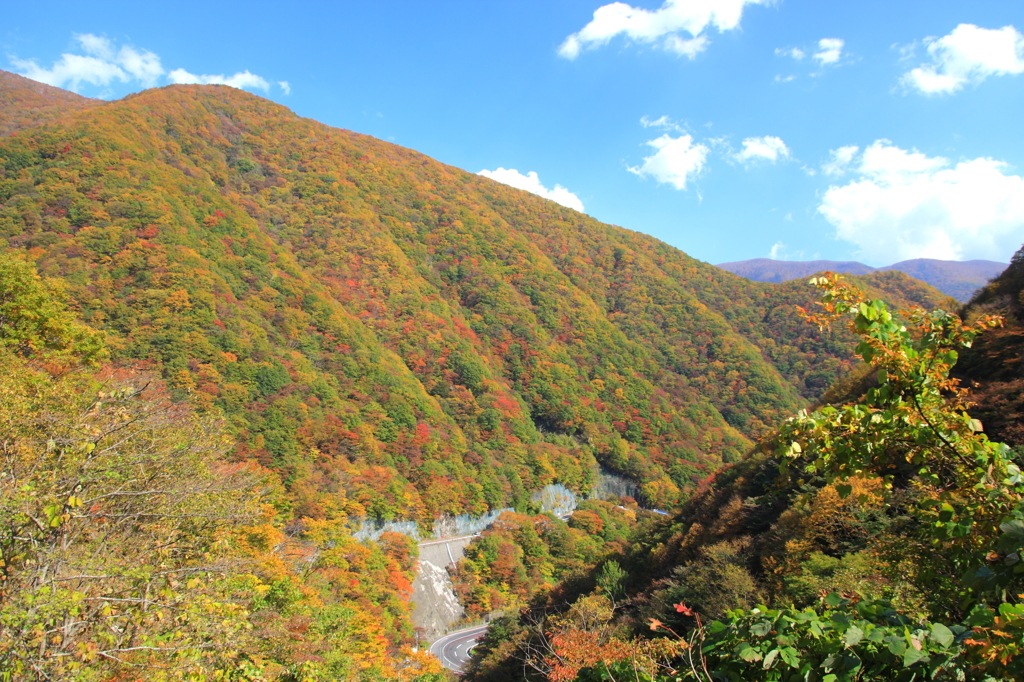 仙人峠の紅葉