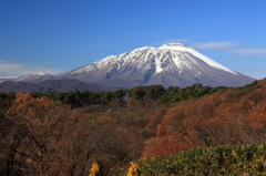 岩手山冬化粧