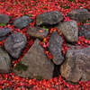 深紅