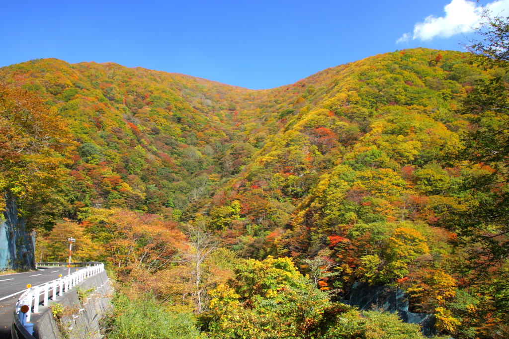 仙人峠の紅葉：R283を歩く