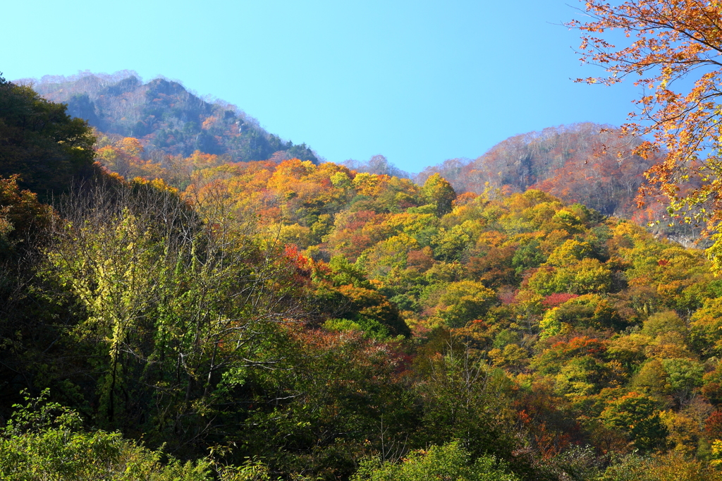 仙人峠の紅葉　（再UP）