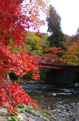 中野もみじ山 2