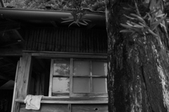 築51年　