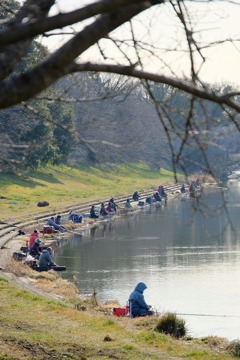 びん沼川