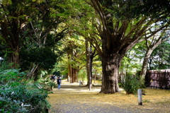 DSCF3407