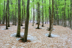 DSCF9568