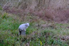 DSCF5881