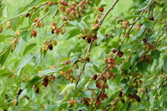 DSC01353