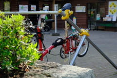 森林公園12