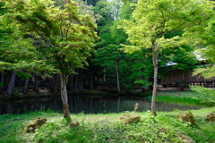 DSCF9397
