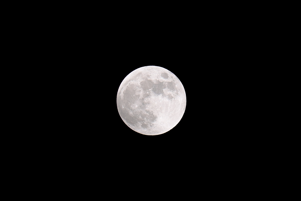 DSCF2848