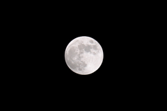 DSCF2848