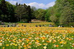 森林公園4
