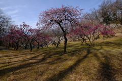 DSCF0773