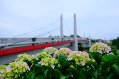 DSCF9940