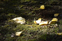DSC00051