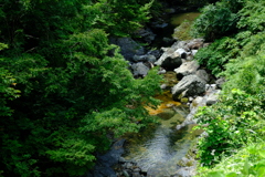 DSCF1077