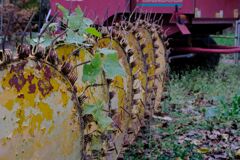 DSCF5888