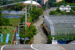 DSCF5164