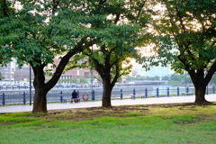 DSCF1367