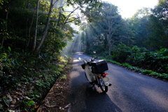 DSCF9953