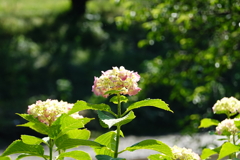 DSC01701