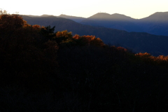 DSCF3167